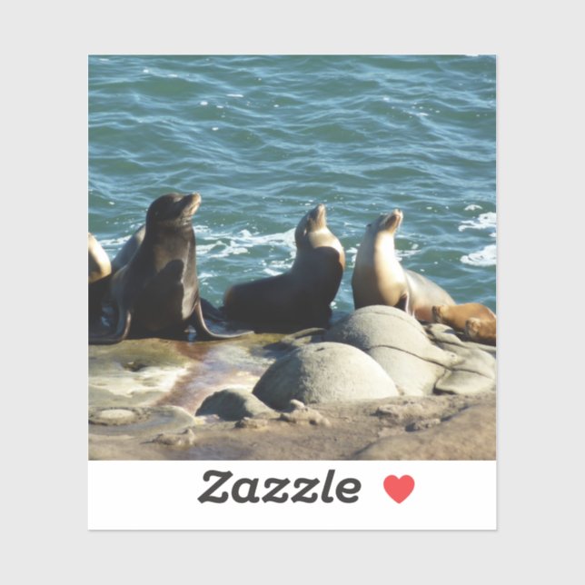 Sticker Lions de la mer de San Diego (Feuille)