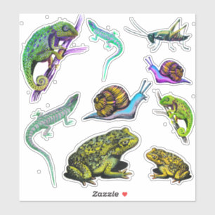 Sticker Lizards, grenouilles, caméléon, escargots