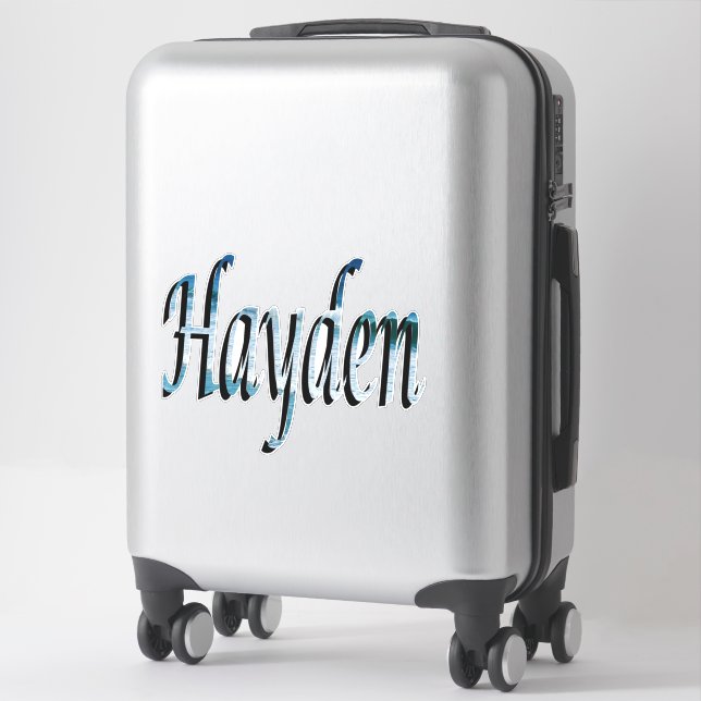 Sticker Logo du nom Hayden (Sur valise)