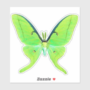 Sticker Luna Moth - Vert citron vert et vert pâle