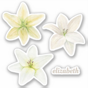 Sticker Lys blanc aquarelle. Fleurs de jardin. Floral
