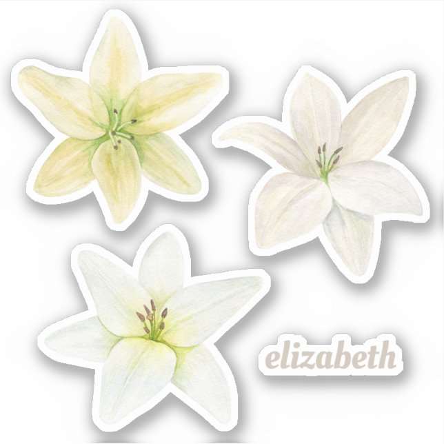 Sticker Lys blanc aquarelle. Fleurs de jardin. Floral (Devant)