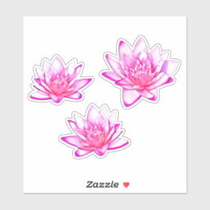 Sticker Lys D'Eau Rose