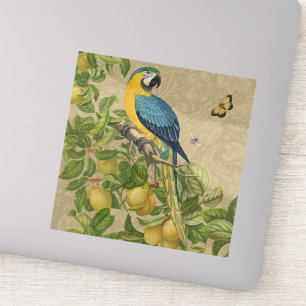 Sticker Macaw Blue Jaune Tropical Jungle Antique