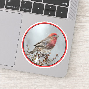 Sticker Maison Finch en Neige - Photo originale