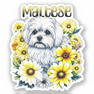 Sticker Maltais Petite : Gris de chien blanc en fleurs jau