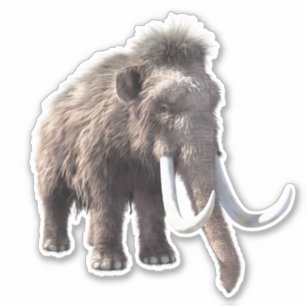 Sticker Mammoth laineux