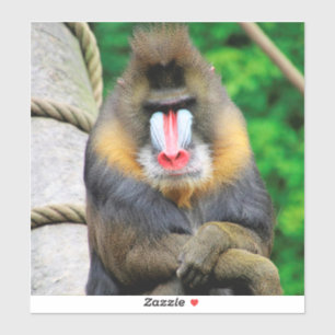 Sticker Mandrill 001