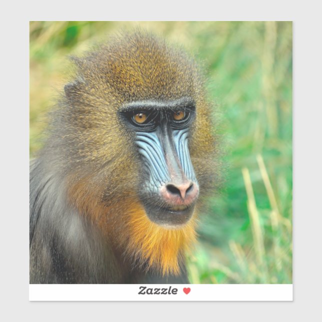 Sticker Mandrill 002 (Feuille)