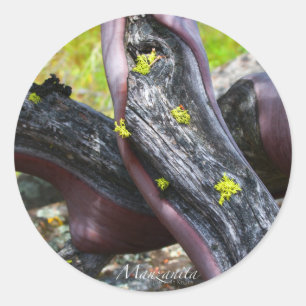 Sticker Manzanita