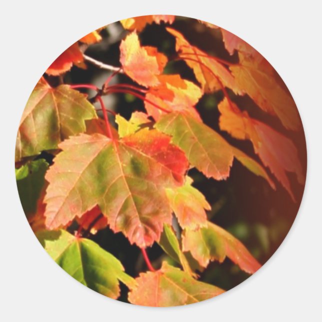 Sticker Mariage Enveloppe Rustique Automne En Amou (Devant)