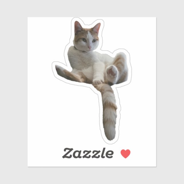 Sticker Maybe You Should Cover That Up? Cat (Feuille)