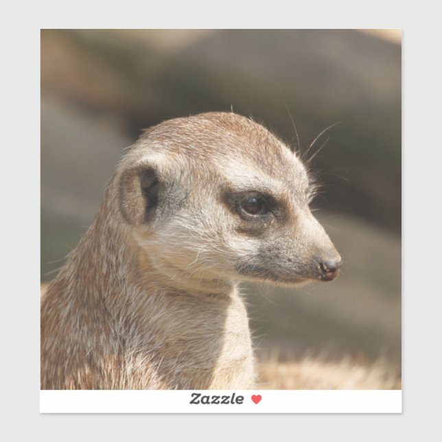 Sticker Meerkat 048 (Feuille)