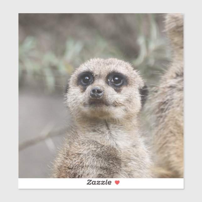 Sticker Meerkat 082 (Feuille)