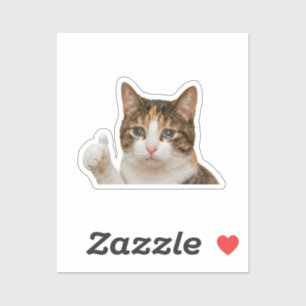 Sticker Mème graphique drôle de chat qui pleure et qui fai