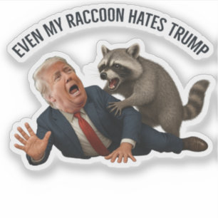Sticker Même mon Raton Laveur Aime Trump 2024 Contre Trump
