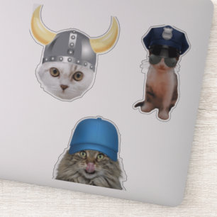 Sticker Mèmes de chats amusants