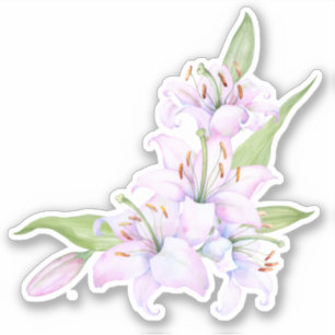 Sticker mensonge