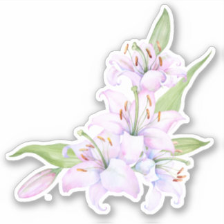 Sticker mensonge