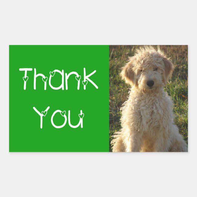 Sticker Merci Goldendoodle Chien Chien Coquelicot  (Devant)