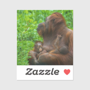 Sticker Mère et bébés d'Orangoutan