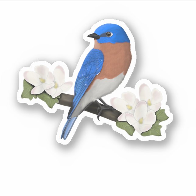 Sticker Merlebleu de l'Est Ornithophile Observateur d'oise (Devant)