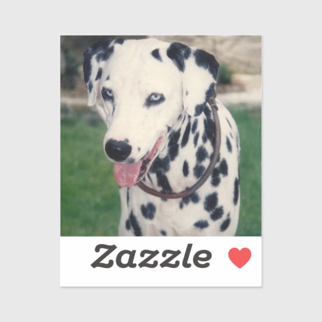 Sticker Mon ami pour animaux de compagnie Photo personnali (Feuille)