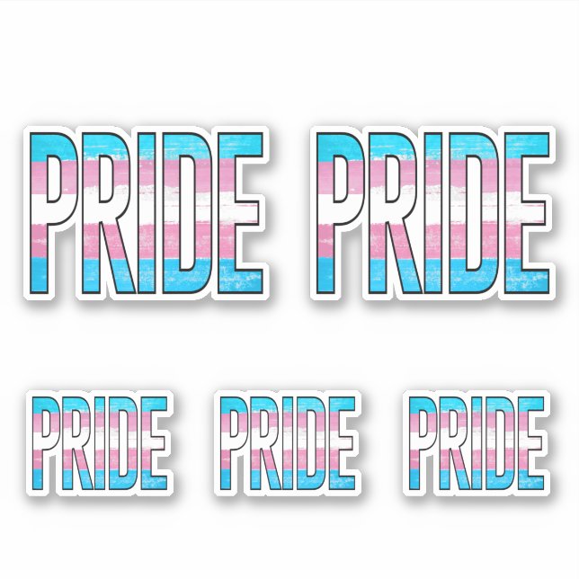 Sticker Mot du Fierté Trans (Devant)