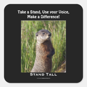 Sticker motivationnel Marmot