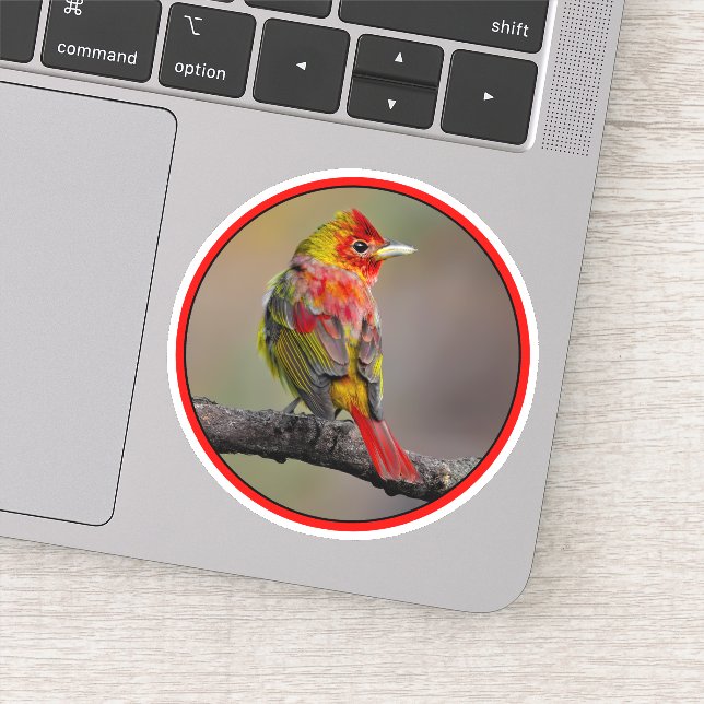 Sticker Moulage de Tangère - Photo originale (Détail)