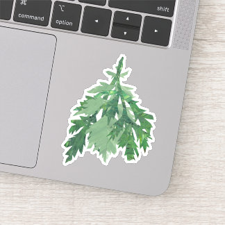 Sticker Mugwort (Bollan bane)