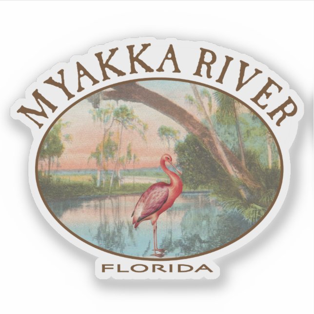 Sticker Myakka River Floride avec spatule rose (Devant)