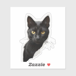 Sticker Mystère chat noir aux yeux pointus