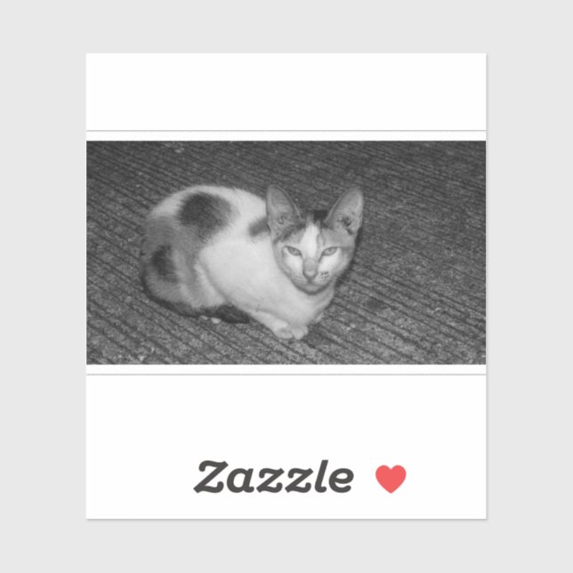 Sticker N&B - Cat 03 (Feuille)
