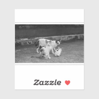 Sticker N&B - Chats