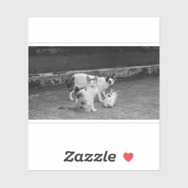 Sticker N&B -  Chats (Feuille)