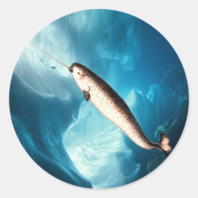 Sticker Narwhal (Devant)