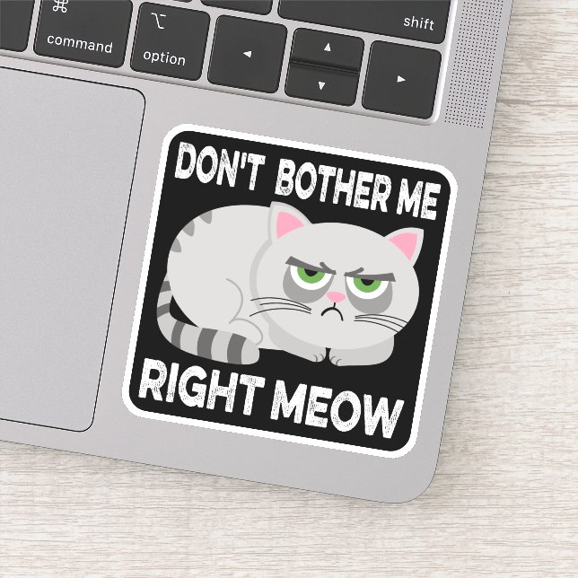 Sticker NE M'INQUIÈTEZ PAS DROITE MEOW - Drôle Lazy Chat S (Détail)