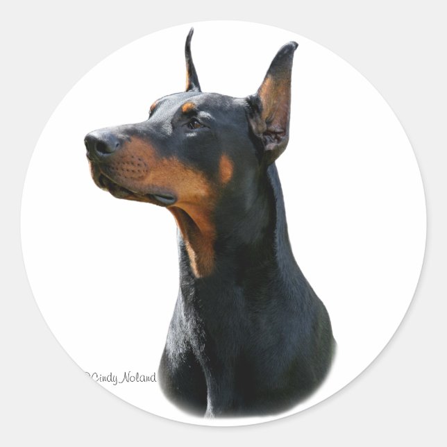 Sticker noir tête Dobermann Pinscher (Devant)
