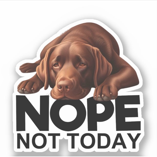 Sticker Non Pas Aujourd'Hui Chocolat Labrador (Devant)