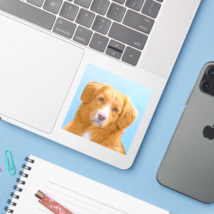 Sticker Nouvelle-Écosse Peinture de chien pour l'essayeur