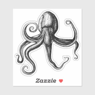 Sticker Octopus noir et blanc