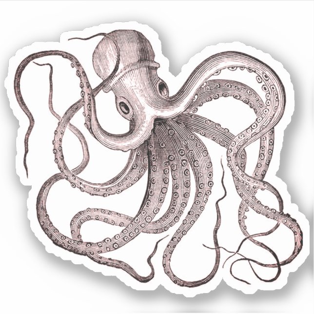 Sticker Octopus vintage (Devant)