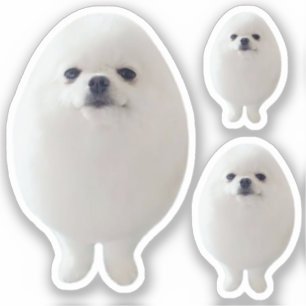 Sticker Oeuf Chien mème