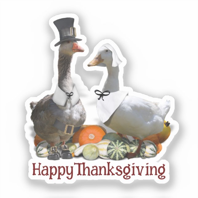 Sticker Oie de pèlerin Canard de Thanksgiving  (Recto)