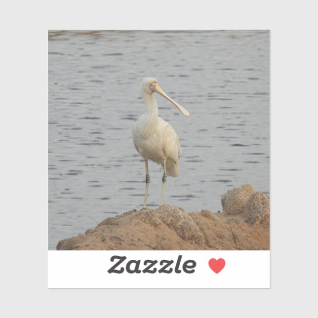 Sticker Oiseau spatule (Feuille)
