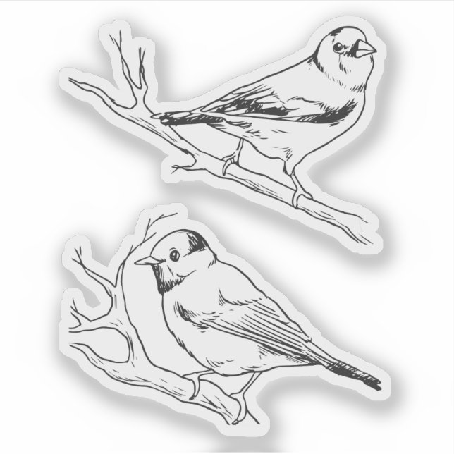 Sticker Oiseaux dessinés main noir & blanc Moderne naturel (Devant)