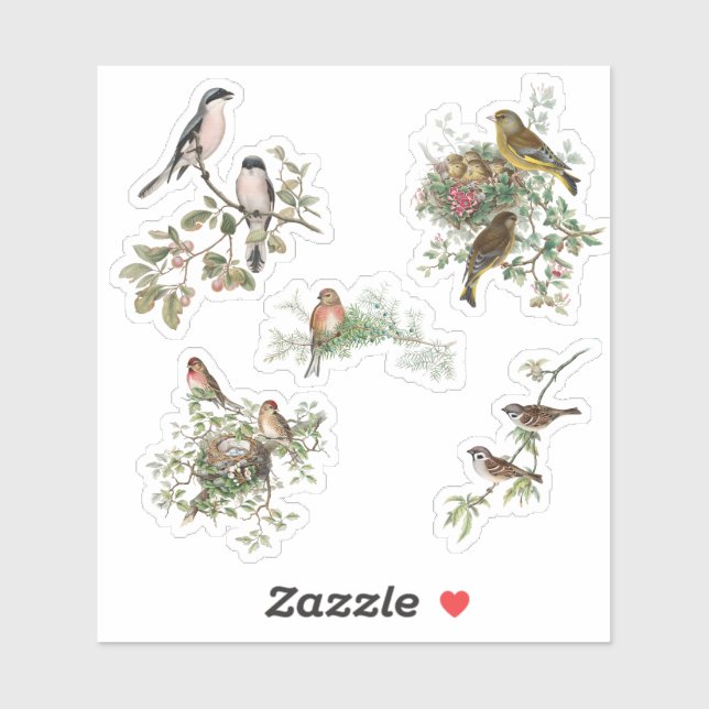 Sticker Oiseaux vintages (Feuille)