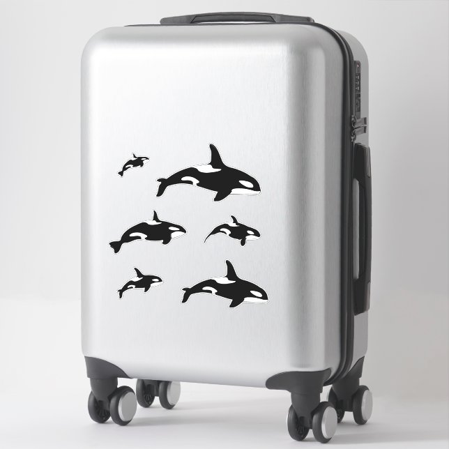 Sticker Orca Killer Whale Set (Sur valise)