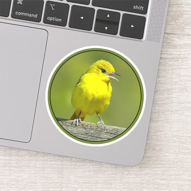 Sticker Orchard Oriole - Photo originale (Détail)